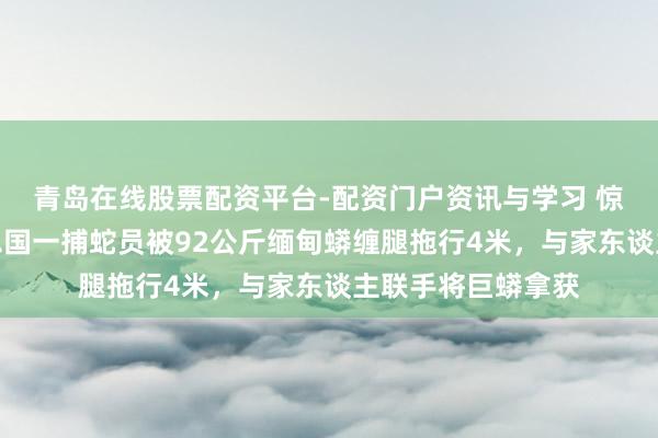 青岛在线股票配资平台-配资门户资讯与学习 惊恐顷刻间：好意思国一捕蛇员被92公斤缅甸蟒缠腿拖行4米，与家东谈主联手将巨蟒拿获