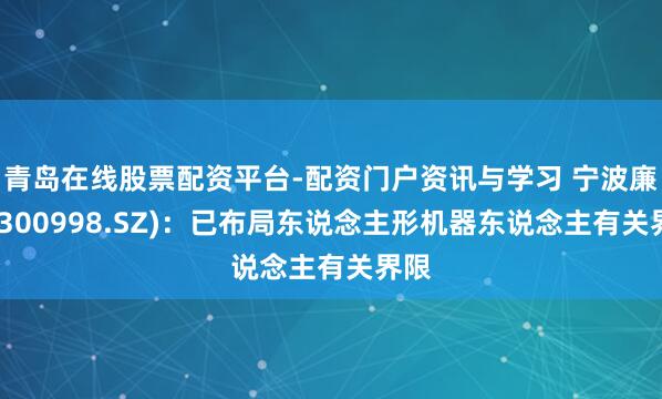 青岛在线股票配资平台-配资门户资讯与学习 宁波廉正(300998.SZ)：已布局东说念主形机器东说念主有关界限