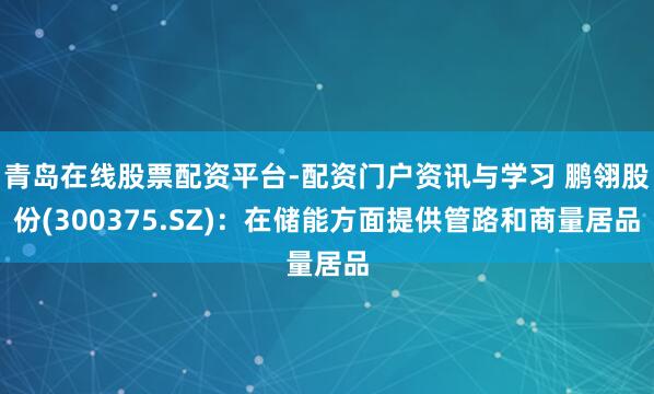 青岛在线股票配资平台-配资门户资讯与学习 鹏翎股份(300375.SZ)：在储能方面提供管路和商量居品