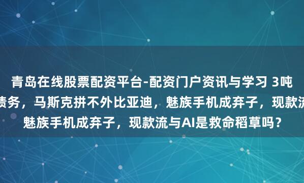 青岛在线股票配资平台-配资门户资讯与学习 3吨黄金抵不了2.5亿元债务，马斯克拼不外比亚迪，魅族手机成弃子，现款流与AI是救命稻草吗？