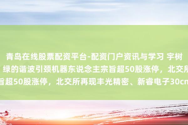 青岛在线股票配资平台-配资门户资讯与学习 宇树科技IPO获批引爆板块！绿的谐波引颈机器东说念主宗旨超50股涨停，北交所再现丰光精密、新睿电子30cm涨停